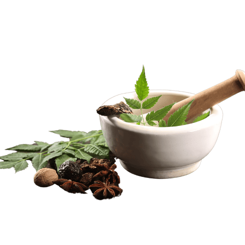 herbcraft A white ceramic mortar and pestle filled with fresh green neem leaves, surrounded by natural ingredients like star anise, dried herbs, and nuts. The scene suggests traditional herbal medicine or Ayurvedic preparation with earthy, organic elements.